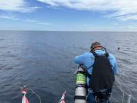 Great day of scuba diving in Key Largo with Rainbow Reef on spiegel grove tropical odyssey 2024 09 19 r16549 1