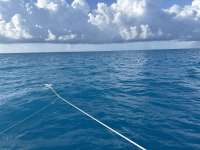 Great day of scuba diving in Key Largo with Rainbow Reef on uscgc duane tropical legend 2024 09 30 r16615 1
