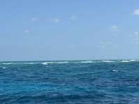 Great day of scuba diving in Key Largo with Rainbow Reef on aquarium tropical destiny 2025 04 24 r17899 1