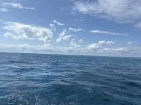 Great day of scuba diving in Key Largo with Rainbow Reef on benwood wreck tropical destiny 2025 04 10 r17812 1