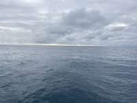 Great day of scuba diving in Key Largo with Rainbow Reef on benwood wreck tropical destiny 2025 04 11 r17816 1