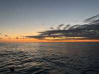 Great day of scuba diving in Key Largo with Rainbow Reef on benwood wreck tropical destiny 2025 04 15 r17852 1