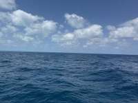 Great day of scuba diving in Key Largo with Rainbow Reef on benwood wreck tropical destiny 2025 04 21 r17886 2