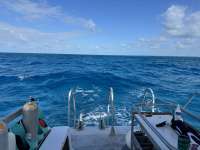 Great day of scuba diving in Key Largo with Rainbow Reef on benwood wreck tropical destiny 2025 04 26 r17916 2