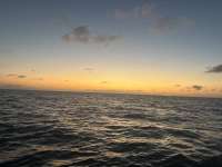 Great day of scuba diving in Key Largo with Rainbow Reef on benwood wreck tropical legend 2025 04 01 r17782 1
