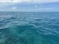 Great day of scuba diving in Key Largo with Rainbow Reef on christ statue tropical destiny 2025 04 01 r17781 1