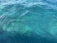 Great day of scuba diving in Key Largo with Rainbow Reef on christ statue tropical destiny 2025 04 01 r17781 2