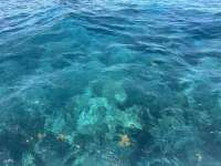 Great day of scuba diving in Key Largo with Rainbow Reef on christ statue tropical legend 2025 04 23 r17894 1