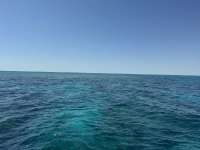 Great day of scuba diving in Key Largo with Rainbow Reef on christ statue tropical odyssey 2025 04 12 r17830 1