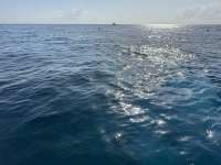 Great day of scuba diving in Key Largo with Rainbow Reef on christmastree cave tropical destiny 2025 04 01 r17774 1