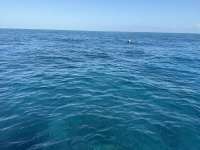 Great day of scuba diving in Key Largo with Rainbow Reef on christmastree cave tropical destiny 2025 04 01 r17774 2