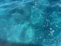 Great day of scuba diving in Key Largo with Rainbow Reef on eagle ray alley tropical legend 2025 04 01 r17779 1