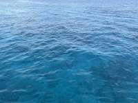 Great day of scuba diving in Key Largo with Rainbow Reef on french twist tropical destiny 2025 04 11 r17822 1