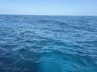 Great day of scuba diving in Key Largo with Rainbow Reef on nine channel tropical legend 2025 04 01 r17775 1
