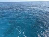Great day of scuba diving in Key Largo with Rainbow Reef on turtle ledges tropical destiny 2025 04 01 r17777 1