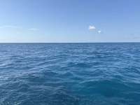 Great day of scuba diving in Key Largo with Rainbow Reef on turtle ledges tropical destiny 2025 04 12 r17823 1