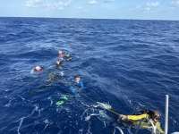 Great day of scuba diving in Key Largo with Rainbow Reef on uscgc duane tropical odyssey 2025 04 24 r17898 1