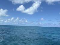 Great day of scuba diving in Key Largo with Rainbow Reef on christ statue tropical legend 2025 08 12 r18622 1