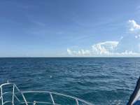 Great day of scuba diving in Key Largo with Rainbow Reef on crf nursery tropical adventure 2025 08 19 r18680 1