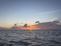 Great day of scuba diving in Key Largo with Rainbow Reef on crf nursery tropical legend 2025 08 12 r18626 1