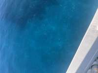 Great day of scuba diving in Key Largo with Rainbow Reef on french reef tropical destiny 2025 08 25 r18713 1