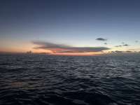 Great day of scuba diving in Key Largo with Rainbow Reef on jjs cave tropical legend 2025 08 02 r18562 1