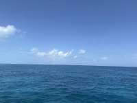 Great day of scuba diving in Key Largo with Rainbow Reef on nine channel tropical legend 2025 08 05 r18575 1