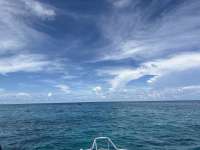 Great day of scuba diving in Key Largo with Rainbow Reef on sand island tropical adventure 2025 08 16 r18670 1