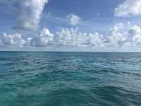 Great day of scuba diving in Key Largo with Rainbow Reef on special event tropical adventure 2025 08 13 r18630 1