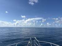 Great day of scuba diving in Key Largo with Rainbow Reef on special event tropical adventure 2025 08 14 r18654 1