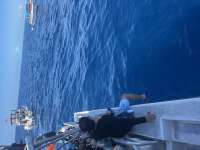 Great day of scuba diving in Key Largo with Rainbow Reef on spiegel grove tropical destiny 2025 08 02 r18550 1