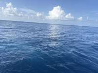Great day of scuba diving in Key Largo with Rainbow Reef on spiegel grove tropical legend 2025 08 05 r18573 1