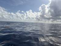 Great day of scuba diving in Key Largo with Rainbow Reef on spiegel grove tropical legend 2025 08 06 r18581 1