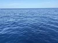 Great day of scuba diving in Key Largo with Rainbow Reef on spiegel grove tropical odyssey 2025 08 26 r18717 1