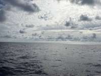 Great day of scuba diving in Key Largo with Rainbow Reef on uscgc duane tropical odyssey 2025 08 10 r18605 1