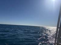 Great day of scuba diving in Key Largo with Rainbow Reef on benwood wreck tropical legend 2025 12 31 r19371 1