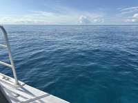 Great day of scuba diving in Key Largo with Rainbow Reef on christ statue tropical serenity 2025 12 14 r19316 1