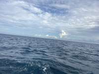 Great day of scuba diving in Key Largo with Rainbow Reef on coral canyons tropical odyssey 2025 12 08 r19295 1