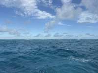 Great day of scuba diving in Key Largo with Rainbow Reef on nine channel tropical serenity 2025 12 18 r19321 1