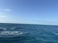 Great day of scuba diving in Key Largo with Rainbow Reef on turtle ledges tropical odyssey 2025 12 15 r19319 1