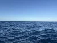 Great day of scuba diving in Key Largo with Rainbow Reef on uscgc duane tropical destiny 2025 12 21 r19330 1