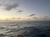 Great day of scuba diving in Key Largo with Rainbow Reef on benwood wreck tropical serenity 2025 02 06 r17453 1