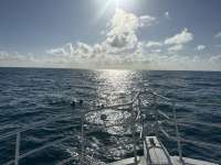 Great day of scuba diving in Key Largo with Rainbow Reef on benwood wreck tropical serenity 2025 02 07 r17454 1
