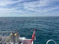 Great day of scuba diving in Key Largo with Rainbow Reef on christ statue tropical serenity 2025 02 19 r17572 1