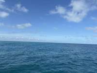 Great day of scuba diving in Key Largo with Rainbow Reef on donut hole tropical odyssey 2025 02 03 r17431 1