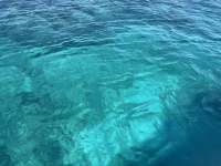 Great day of scuba diving in Key Largo with Rainbow Reef on mikes wreck tropical odyssey 2025 02 28 r17625 1
