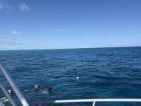 Great day of scuba diving in Key Largo with Rainbow Reef on nine channel tropical odyssey 2025 02 04 r17439 1
