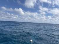 Great day of scuba diving in Key Largo with Rainbow Reef on nine channel tropical serenity 2025 02 06 r17452 1