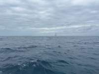 Great day of scuba diving in Key Largo with Rainbow Reef on nine channel tropical serenity 2025 02 24 r17594 1