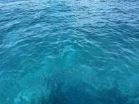 Great day of scuba diving in Key Largo with Rainbow Reef on snapper ledge tropical odyssey 2025 02 18 r17560 1